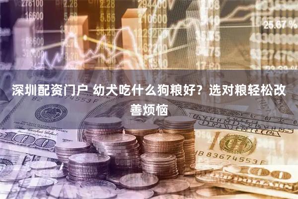 深圳配资门户 幼犬吃什么狗粮好？选对粮轻松改善烦恼